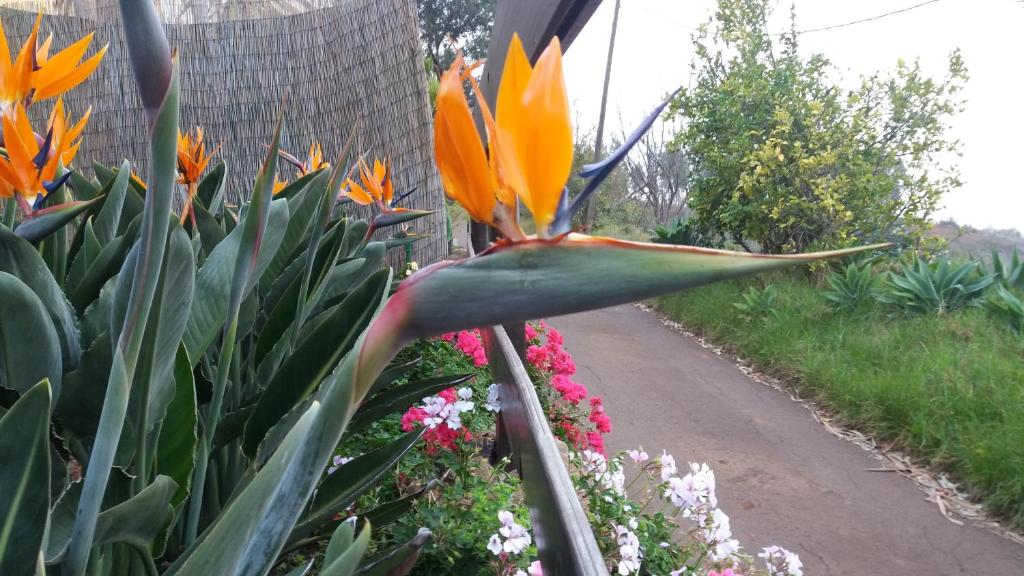 Barrancolaurel photo 1