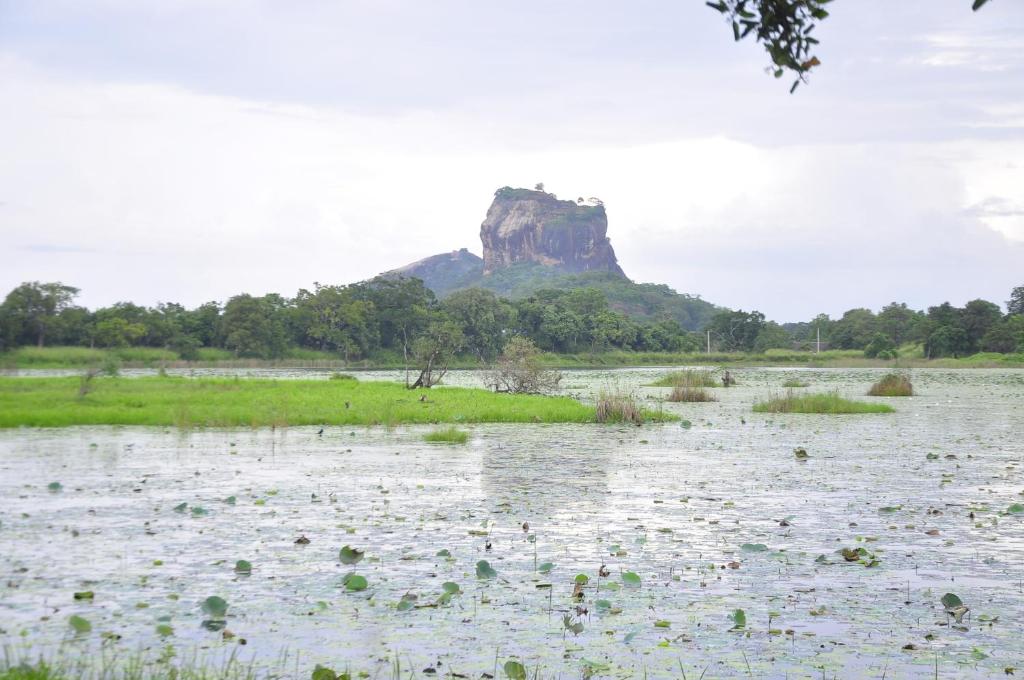 Rock Lake Home Stay photo 2
