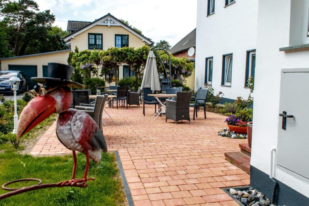 Hotel Haus Mönchgut photo 3