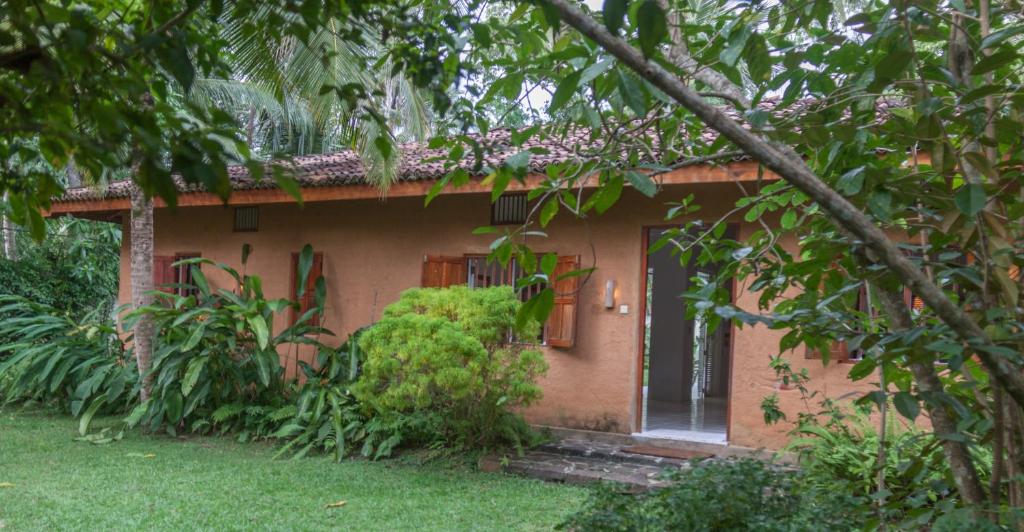 Bungalow Sud