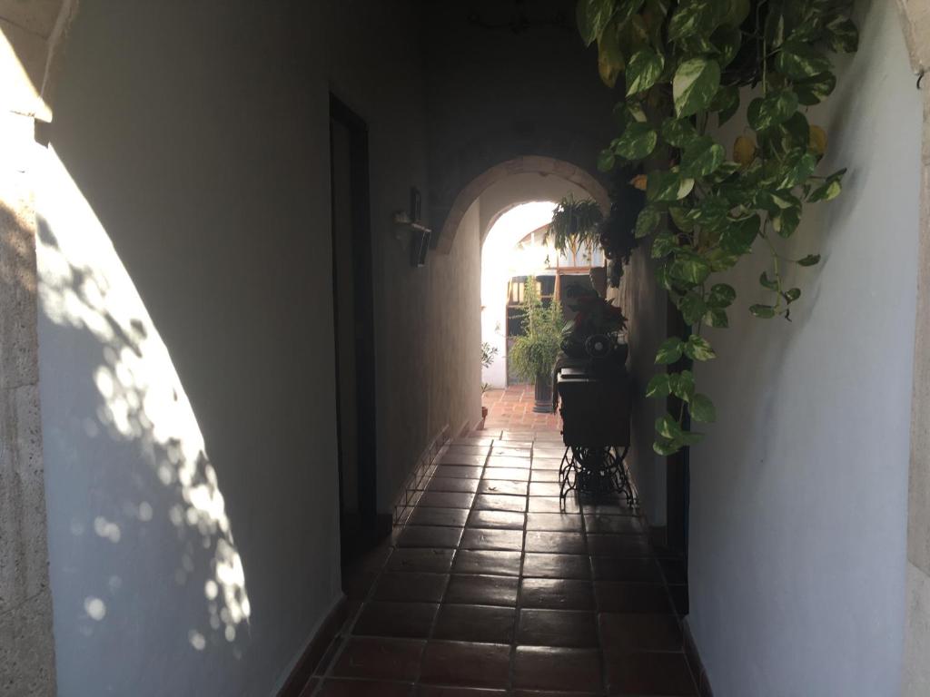 Hostal Doña Carlota Hotel photo 1
