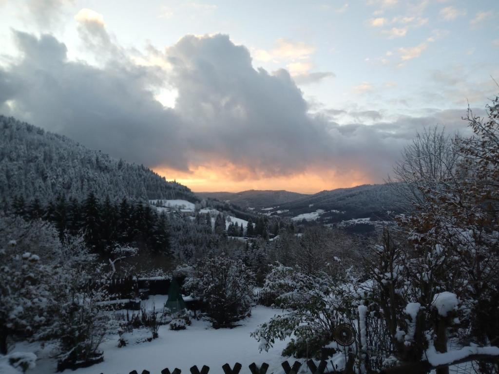 Gîte du Poirier photo 4