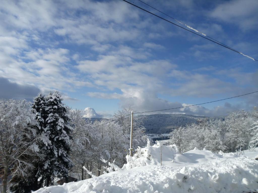 Gîte du Poirier photo 2