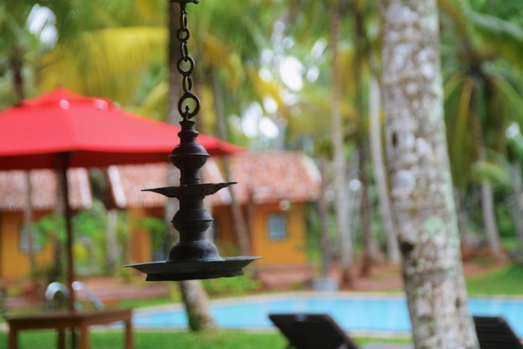 Kurumba Villas photo 3