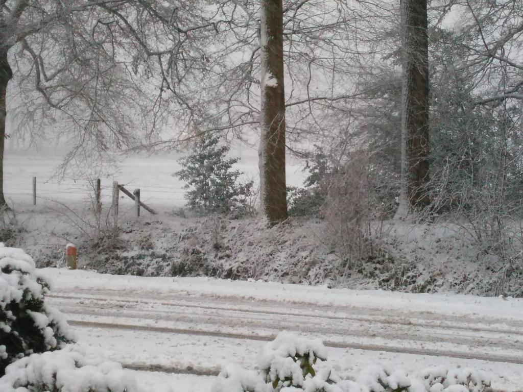 Anna's B&B Rijssen photo 3