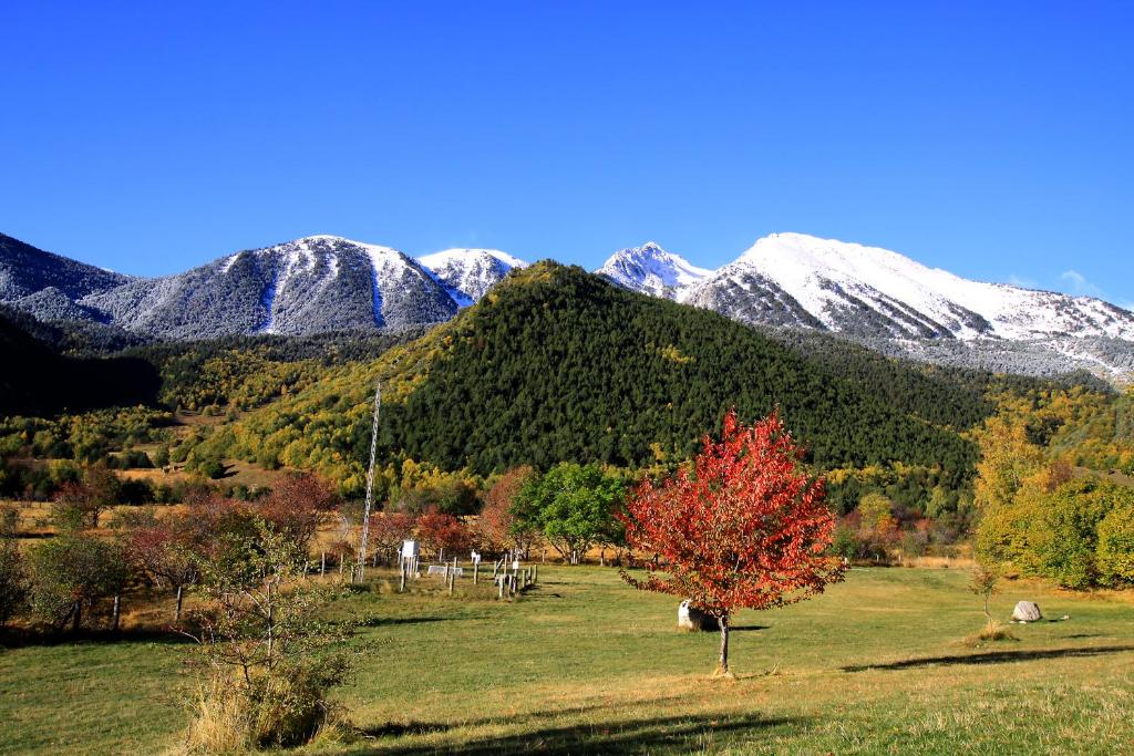 MónNatura Pirineus - AJOOO385 photo 3