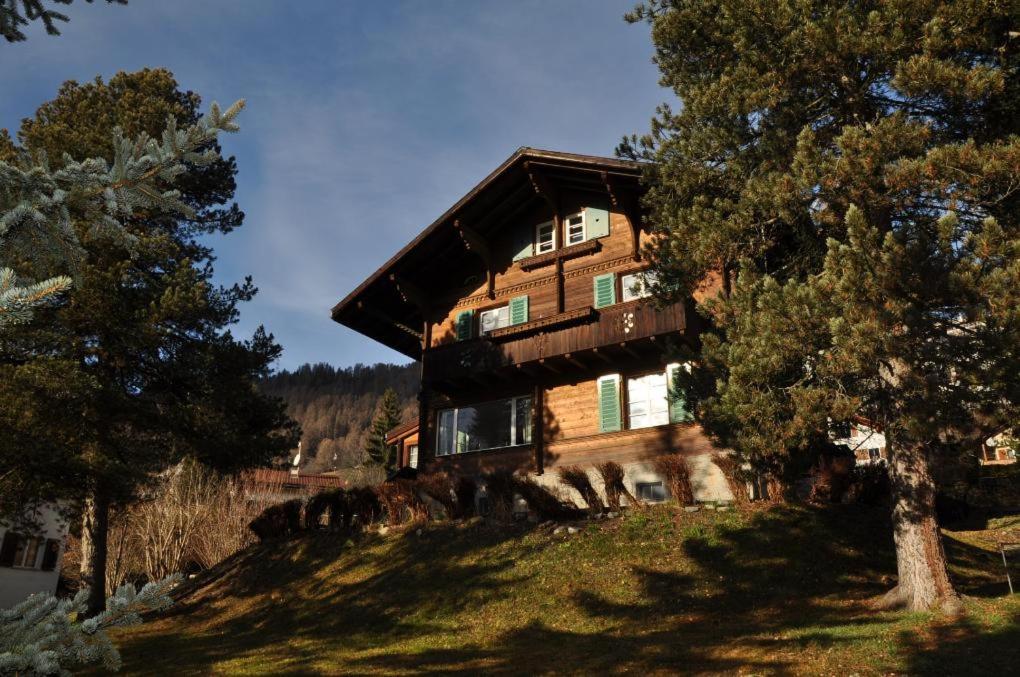 Chalet Trü photo 2