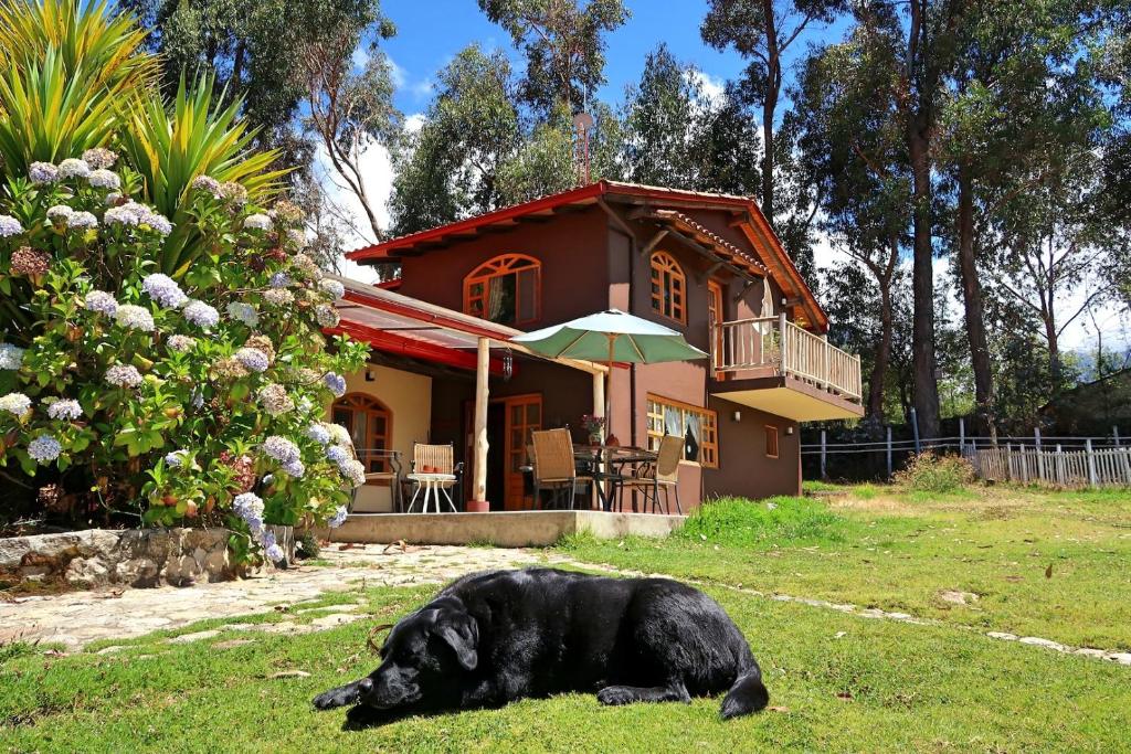 The Lazy Dog Inn a Mountain Lodge photo 2