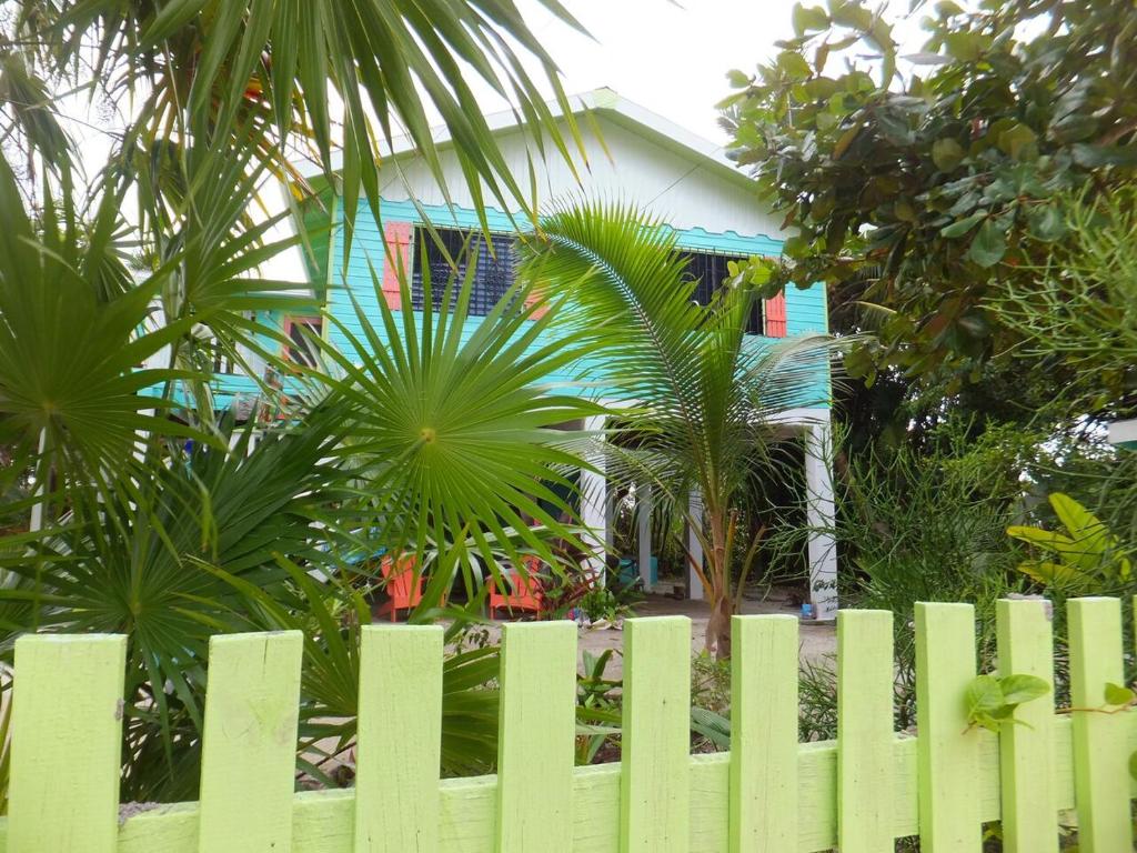 The Bottle Tree House photo 2