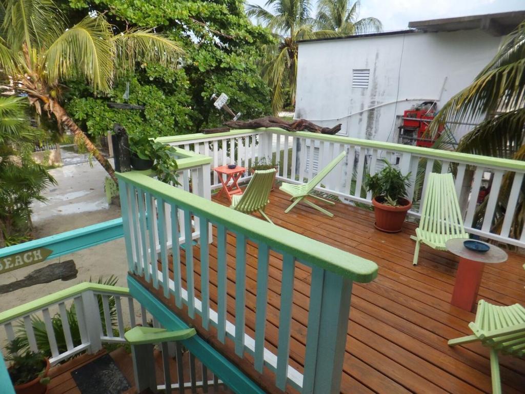 The Bottle Tree House photo 3