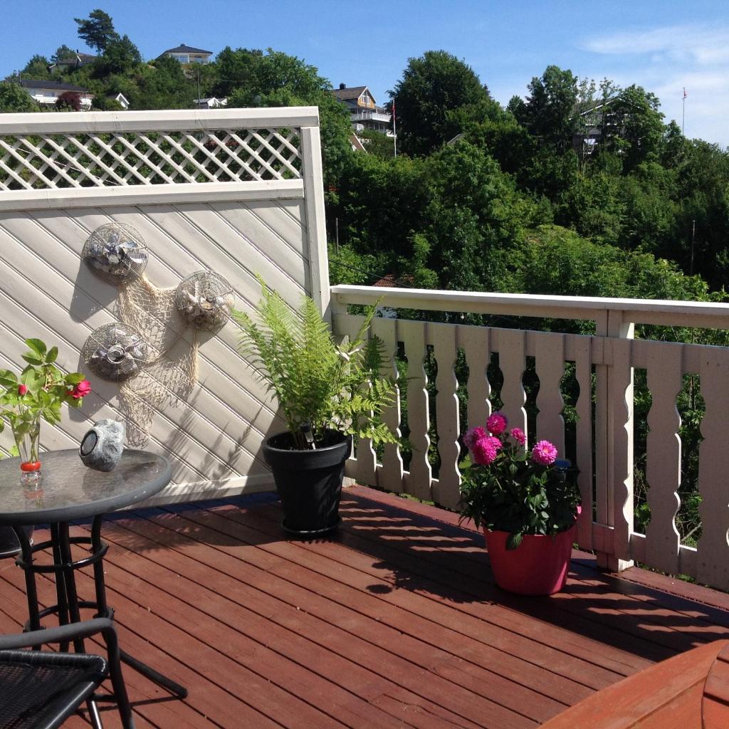 Torill`s Apartment photo 3