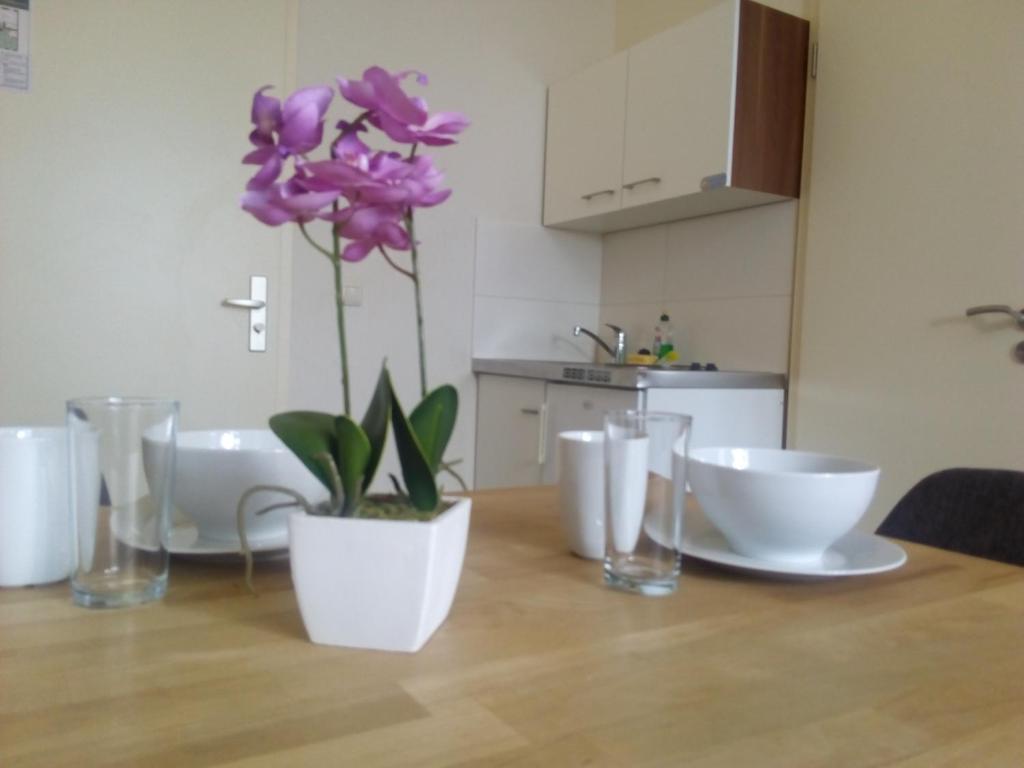 Apartmentpension am Stadtschloss photo 4