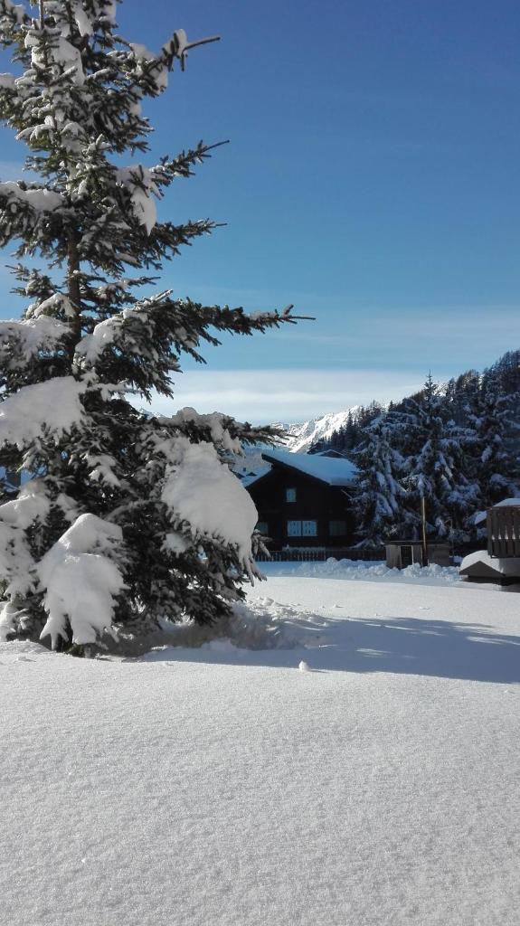 Residence Les Coupoles photo 2