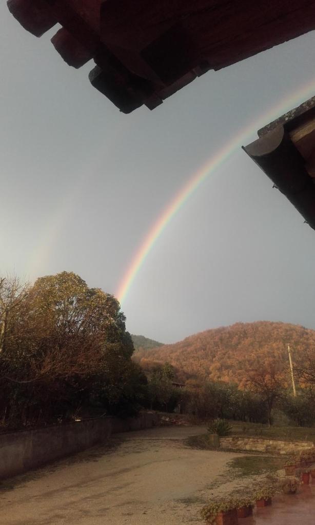 B&B Colle San Francesco photo 2