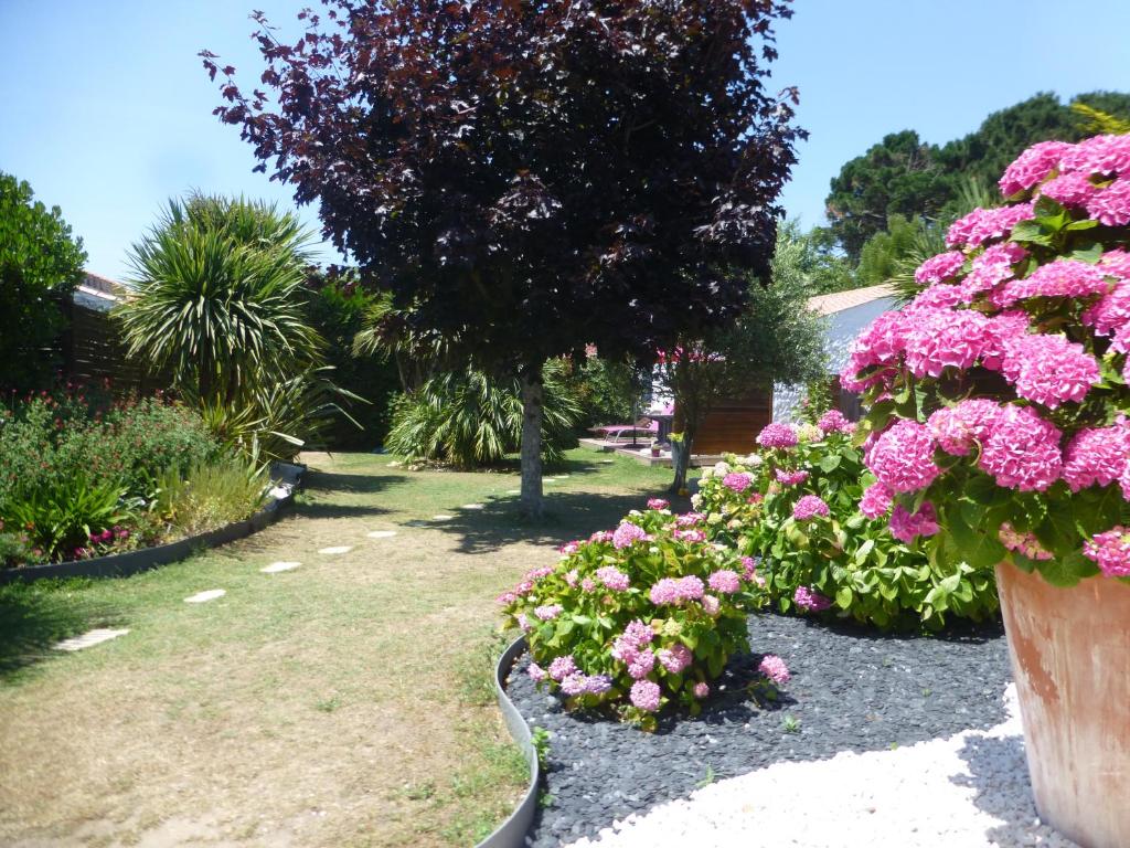 GÎTE DES FRUCHES photo 1