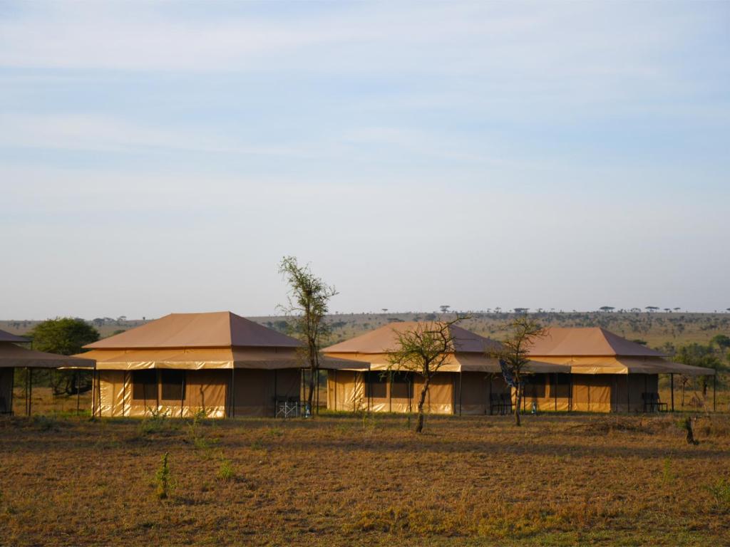 Serengeti Wild Camp photo 1