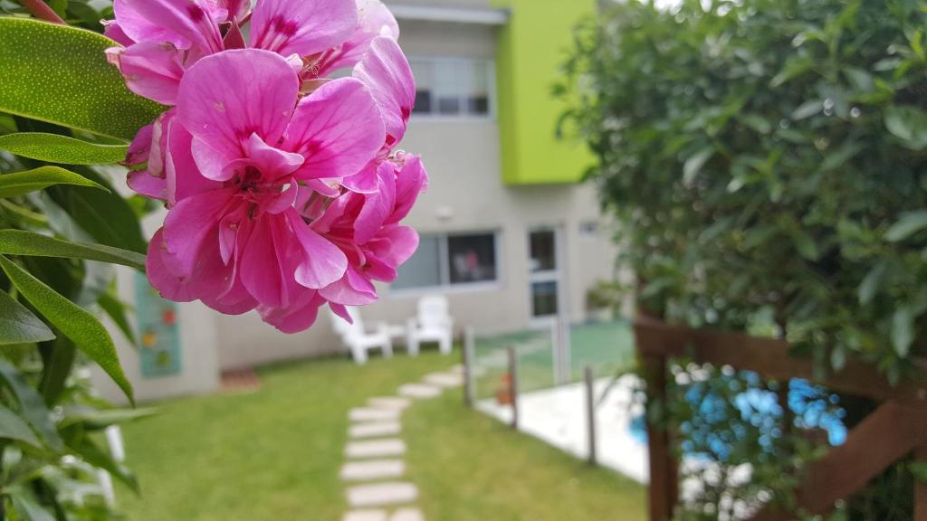 Hostería Magnolia photo 3