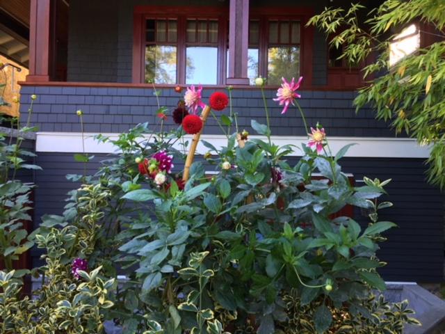 Beautiful, Quiet 3BR in Posh Kitsilano photo 4