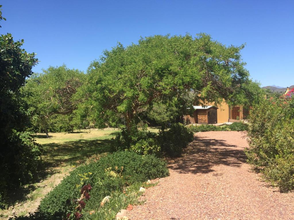 Amakhala photo 2
