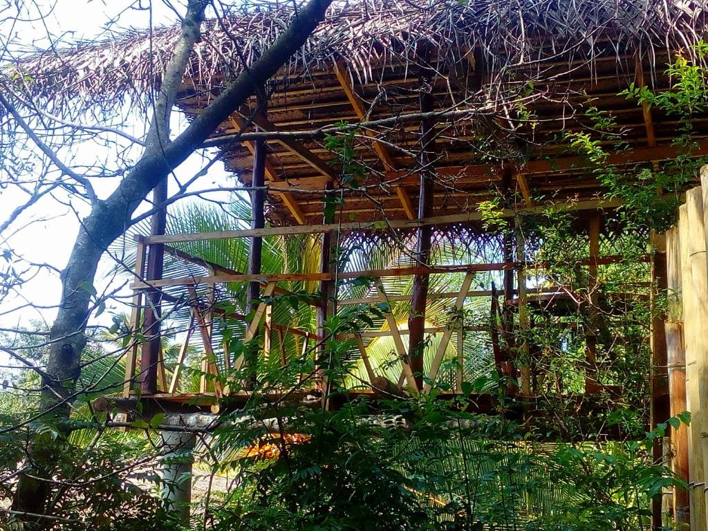 Ancient Gardens - Villa photo 2