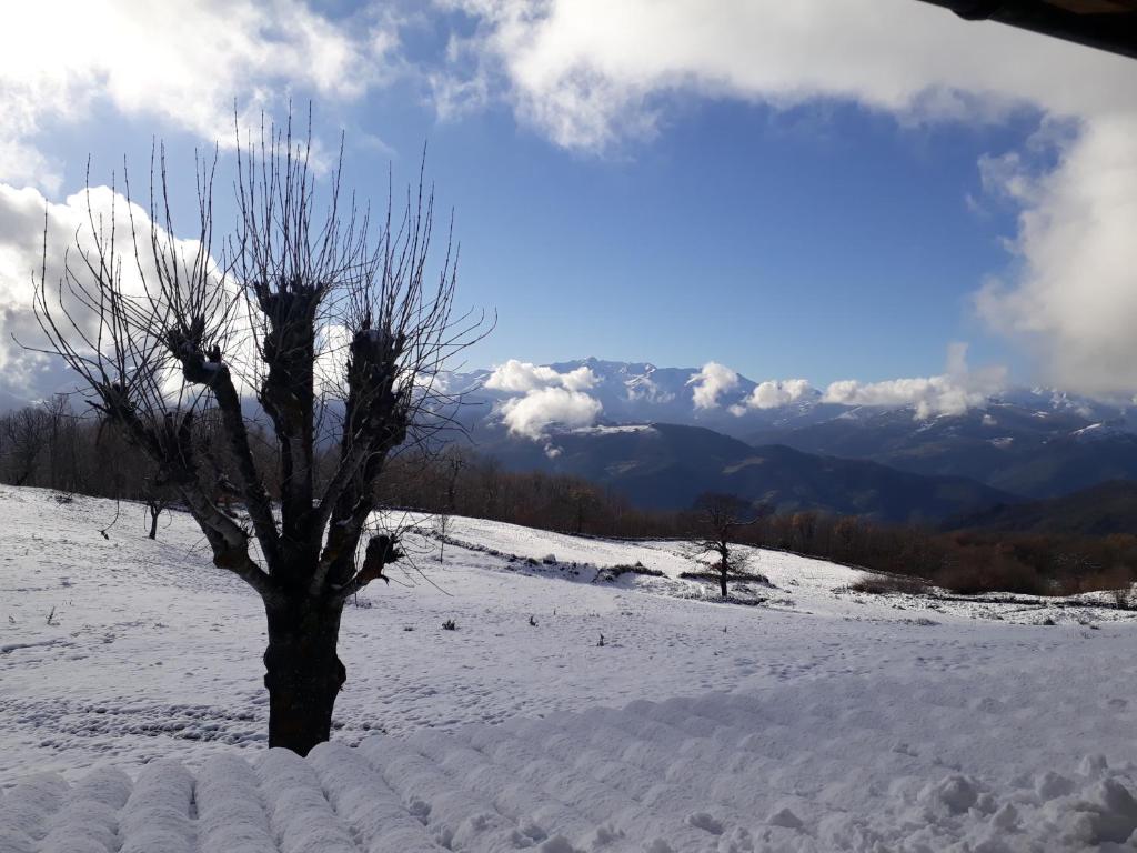Posada Torcaz photo 3
