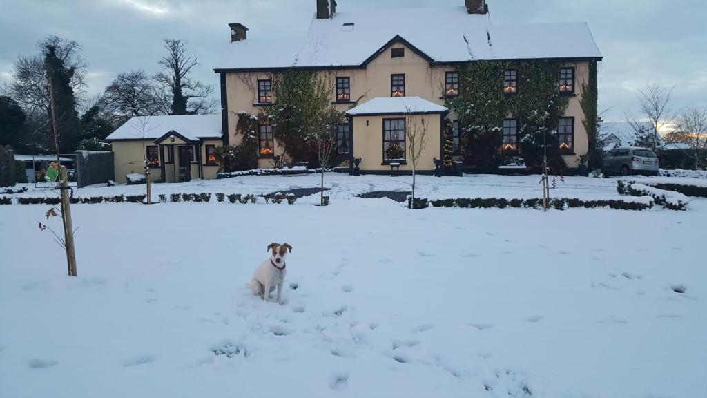Charlotte's Way B&B photo 3