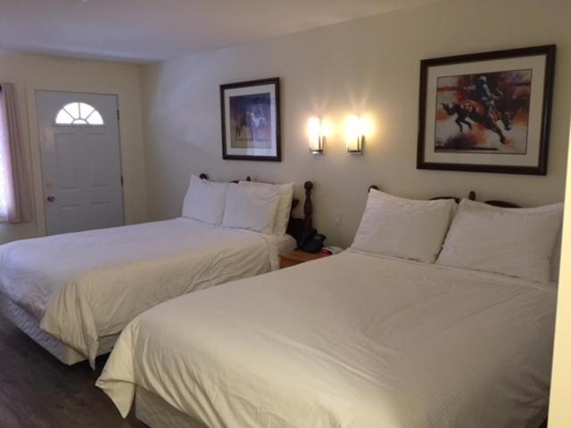 Spruce Hill Resort & Spa photo 2