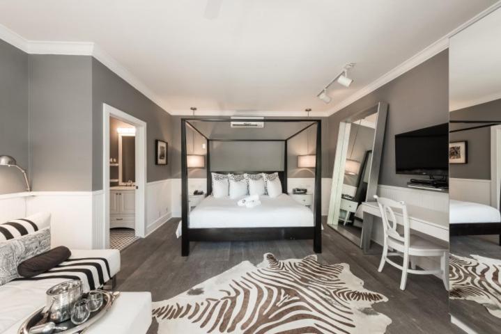 Alexander's Gay Lesbian Guesthouse (Adult Only 21+) photo 4