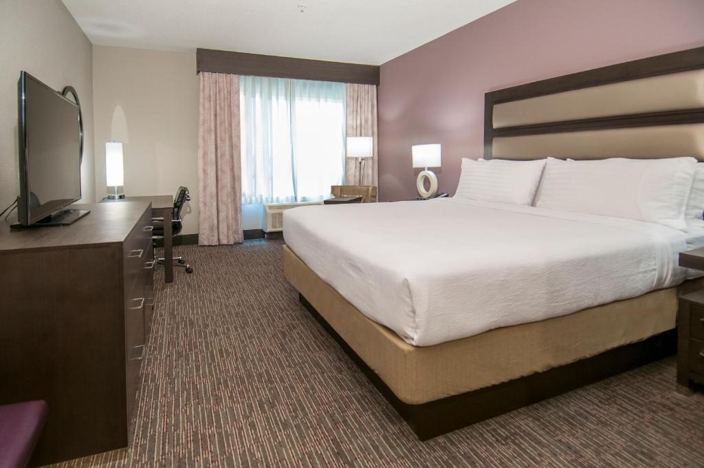 Holiday Inn - New Orleans Airport North, an IHG Hotel photo 4
