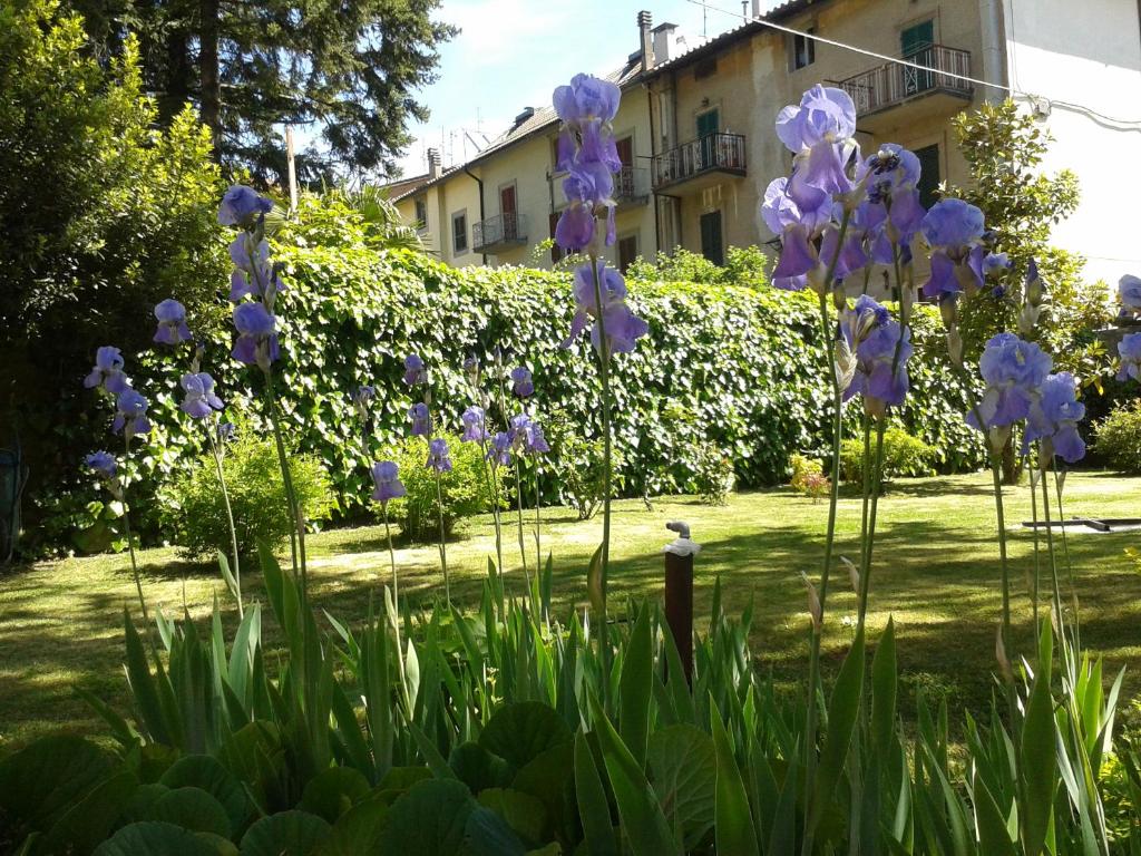 Hotel Italia Abbadia photo 2