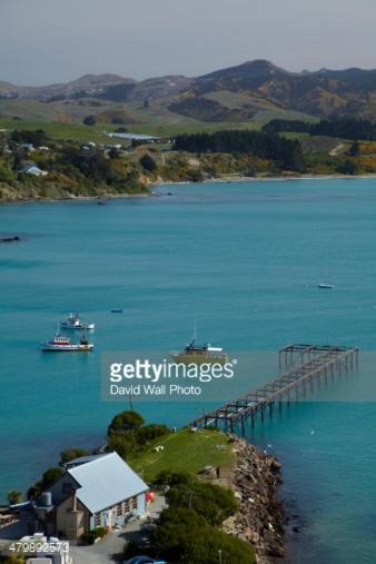 Noah's Boutique Accommodation Moeraki Room Type - Family Studio