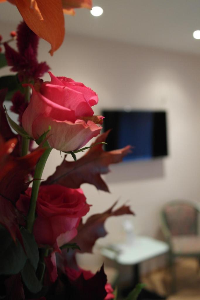Одноместный (Одноместный номер), Hotel Attaché an der Messe