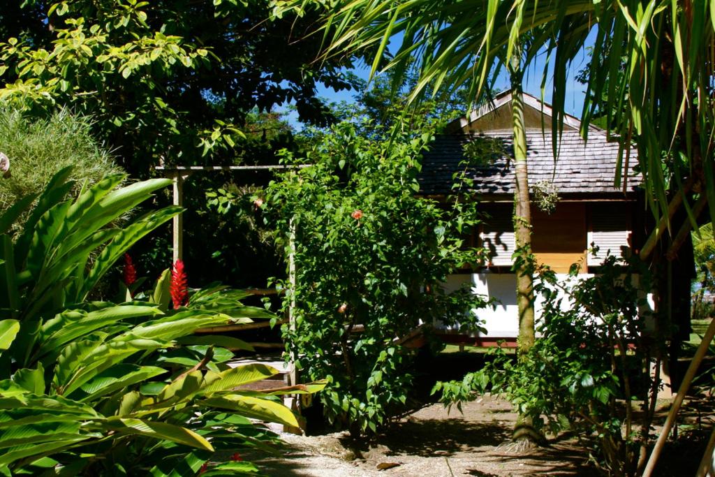 Acajou Hotel photo 4