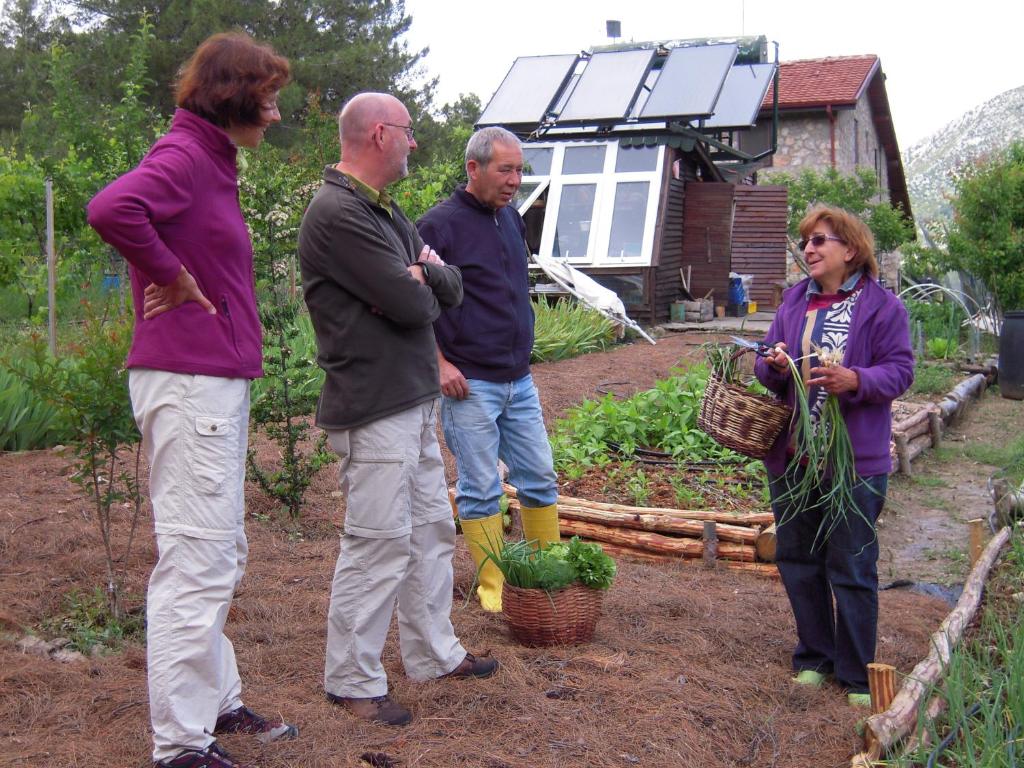 Dikencik Cottages photo 1