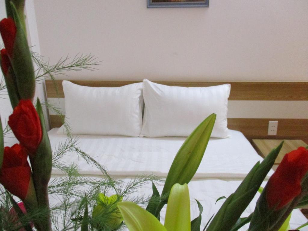 City Backpackers Hostel