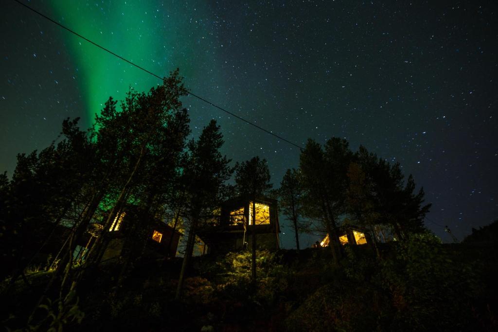 Bjørnfjell Mountain Lodge photo 3