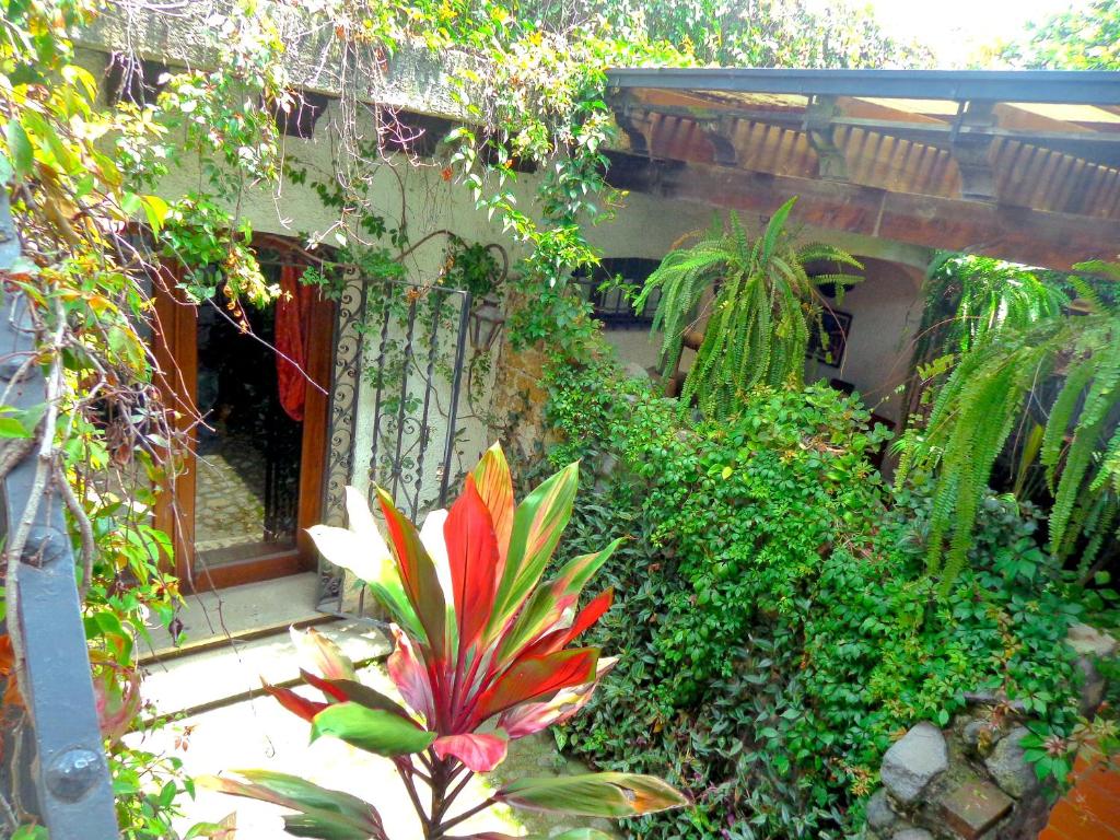 Cissus Hotel Boutique photo 4