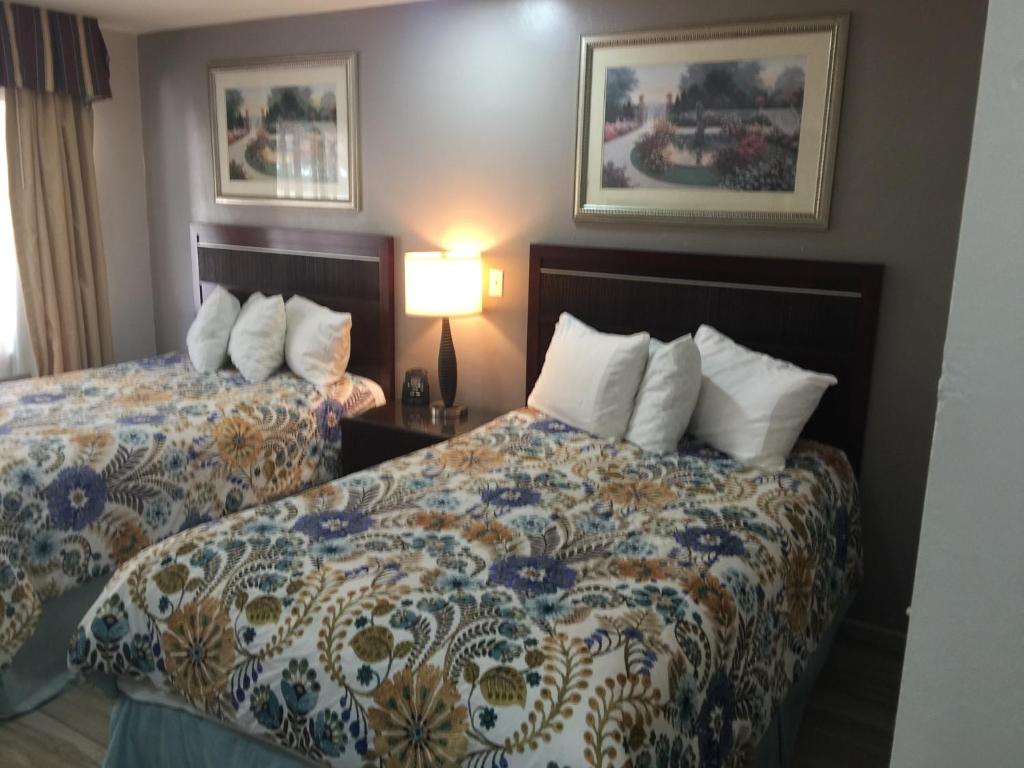 Flamingo Inn photo 3