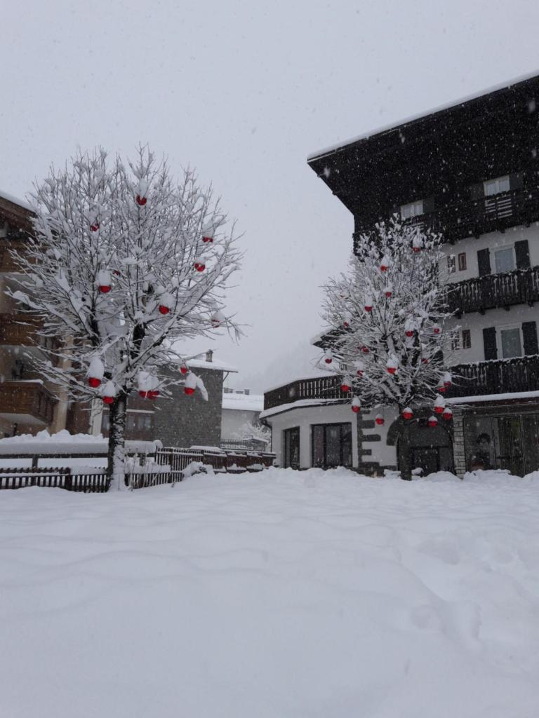 Hotel Garni Suisse photo 2