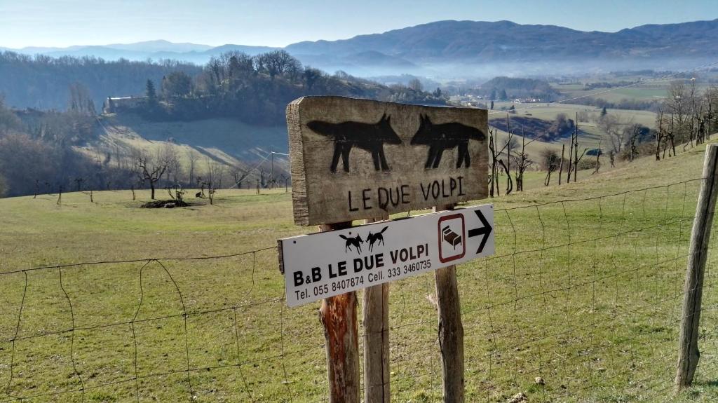 B&B Le Due Volpi photo 3