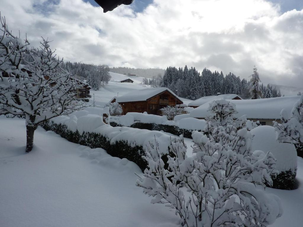 Chalet Le Starfu photo 2