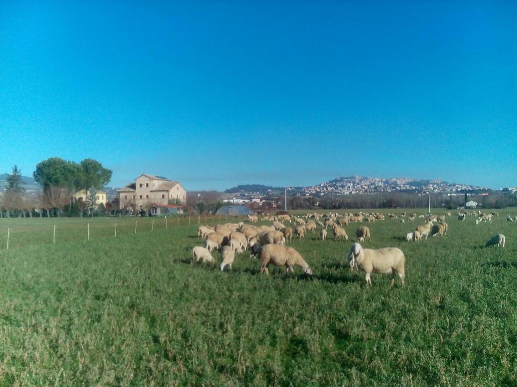 Alla Bigattiera photo 4
