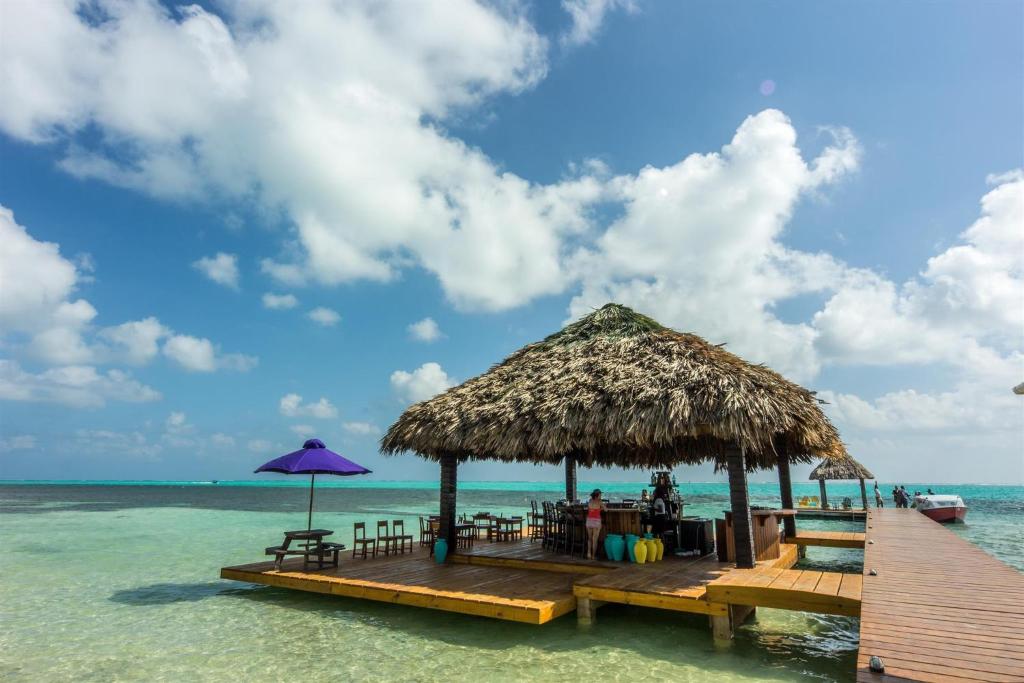 X'tan Ha- The Waterfront photo 3