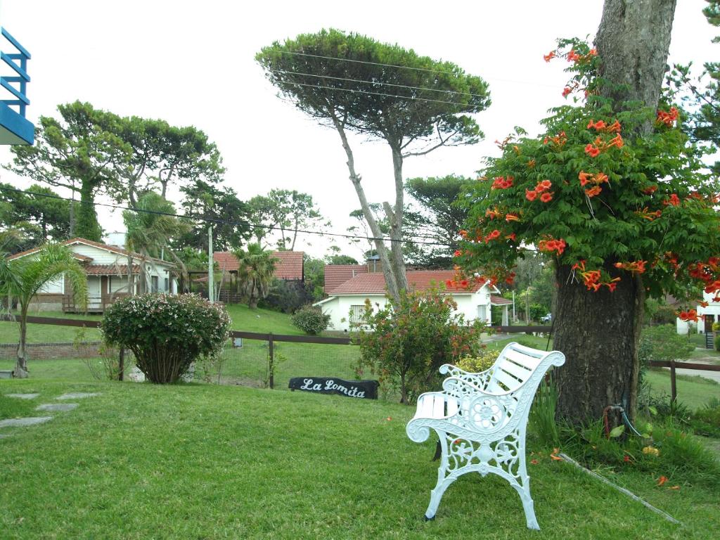 Lomita Gesell photo 3