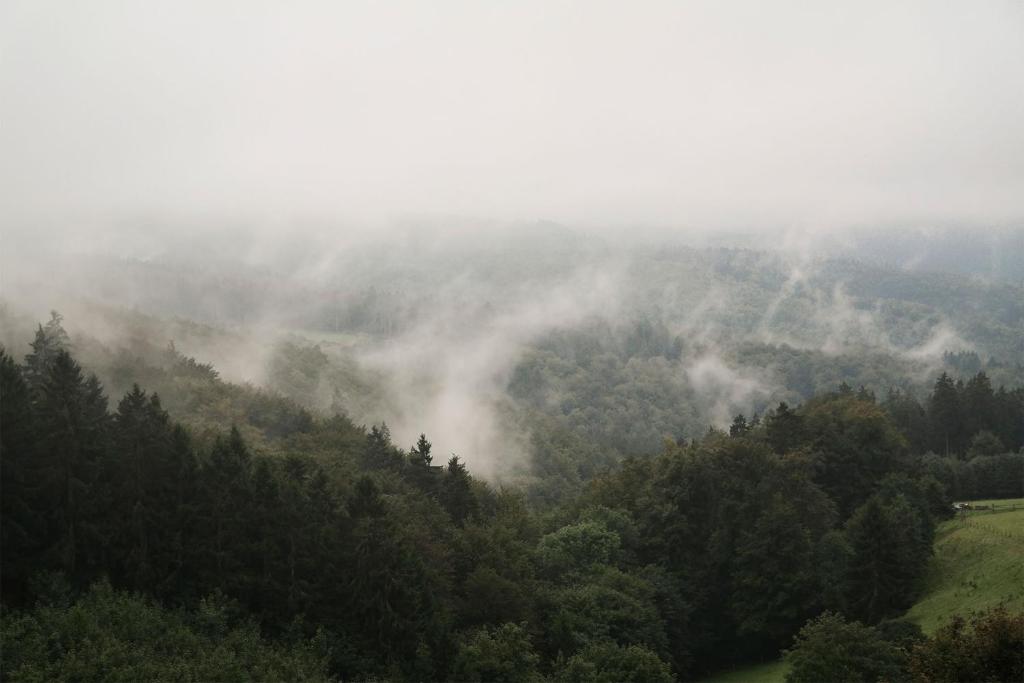 Romantikhütte Rothaarsteig photo 4
