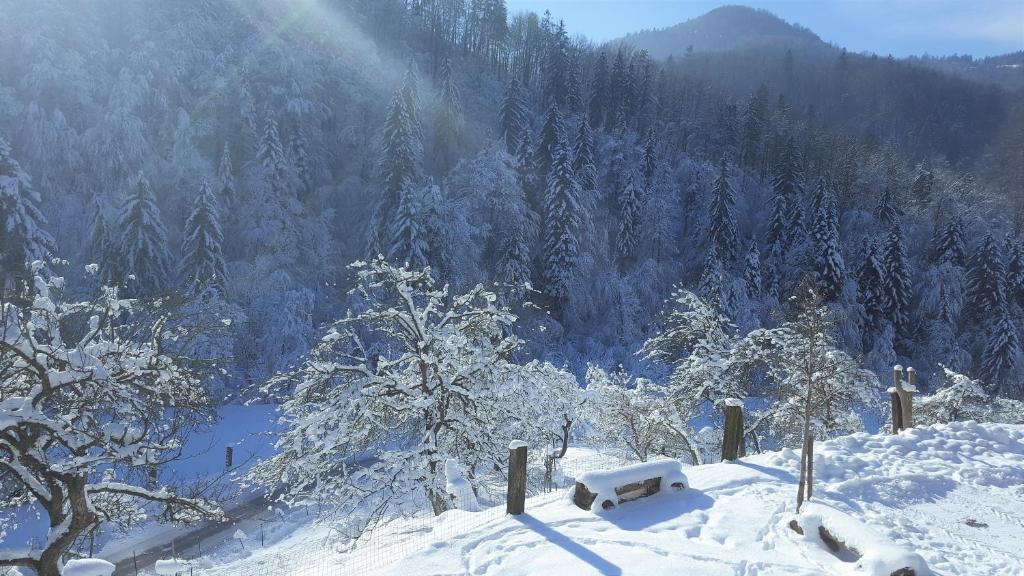 Turistična kmetija Weiss photo 3