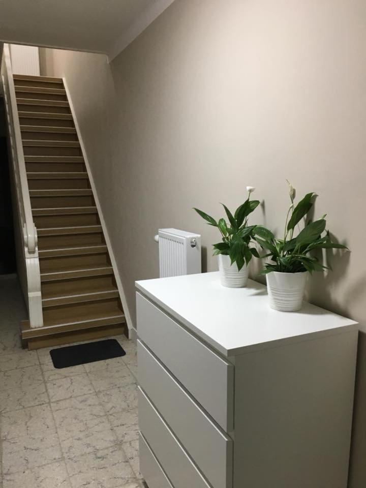 Hollandia City House photo 4