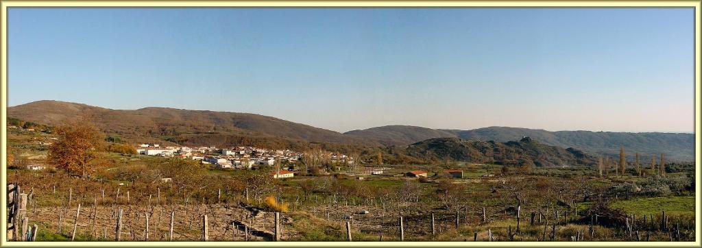 El Capricho photo 2