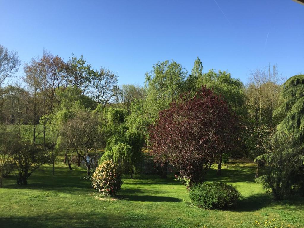Les Arbres Rouges photo 2