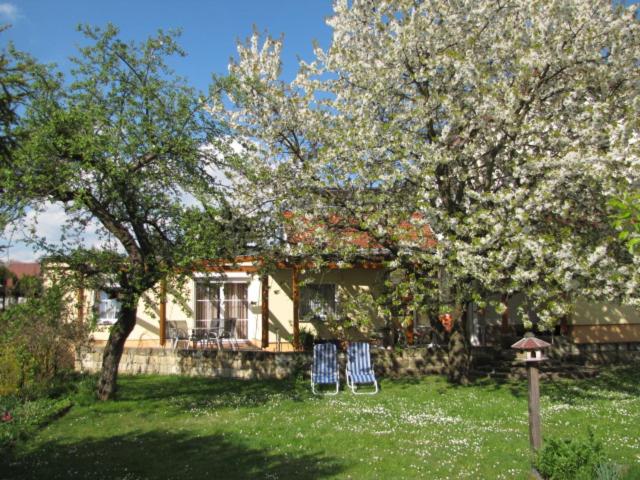 Ferienwohnung Hofeditz photo 3